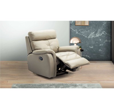 Alicia Single Seater - Genuine Leather GG Colour